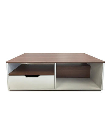 Orino Coffee Table with 2 drawers